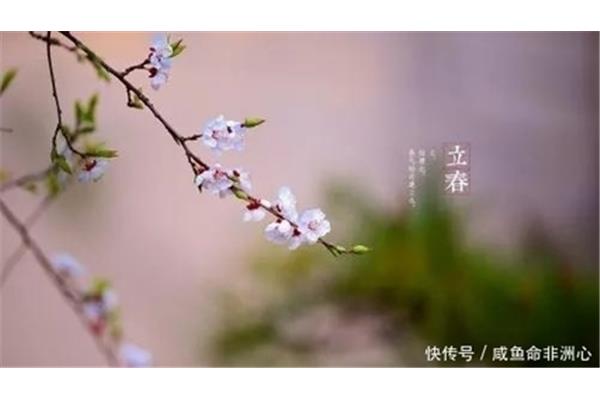 关于春天的俗语