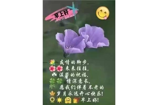 最新版早上好