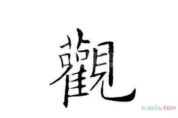 观开头的成语