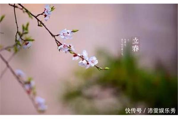 关于春天的俗语