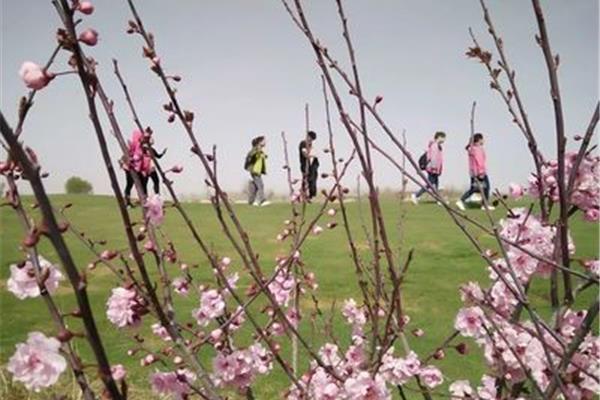快乐的春游