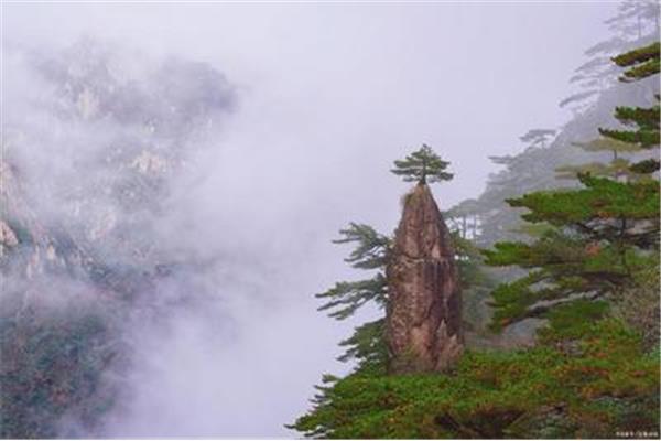 写庐山的诗句