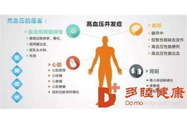 糖脂的作用