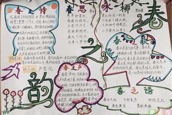 春天的手抄报