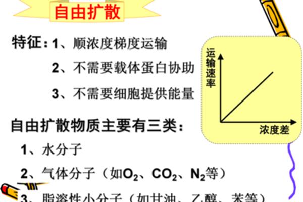 自由扩散的特点