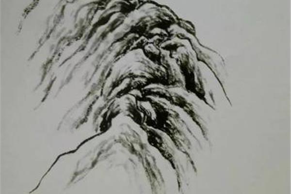 国画基础教程