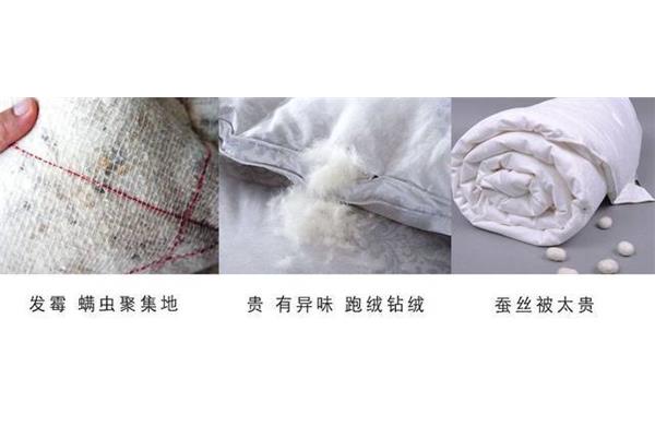 蚕丝被会长螨虫吗
