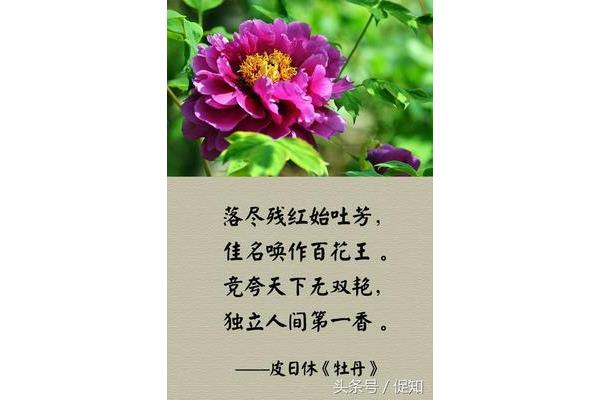 花有关的诗句