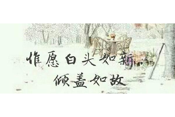 倾盖如故的意思