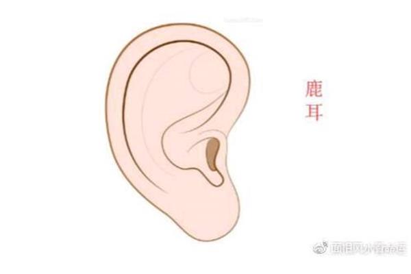 什么样的耳朵