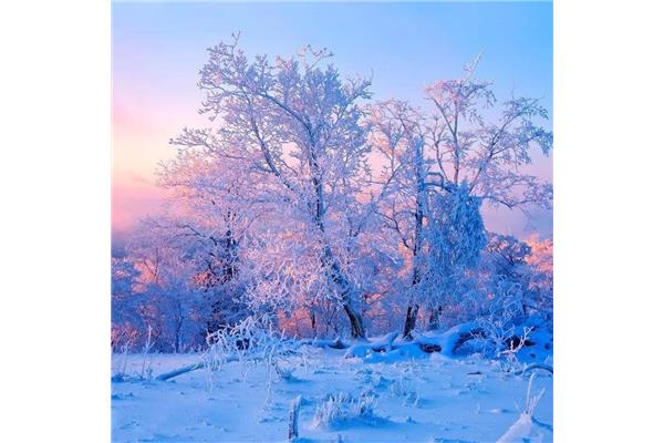 最美的雪景