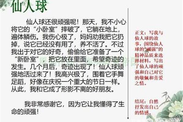 突出表现怎么写