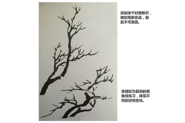 国画基础教程