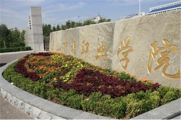 泰山护理职业学院