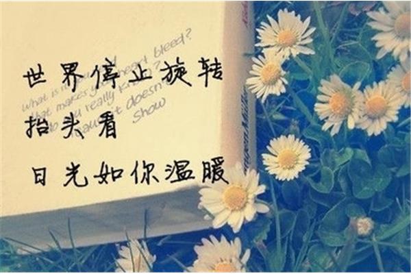 再也没有如果