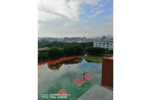 雨后的校园