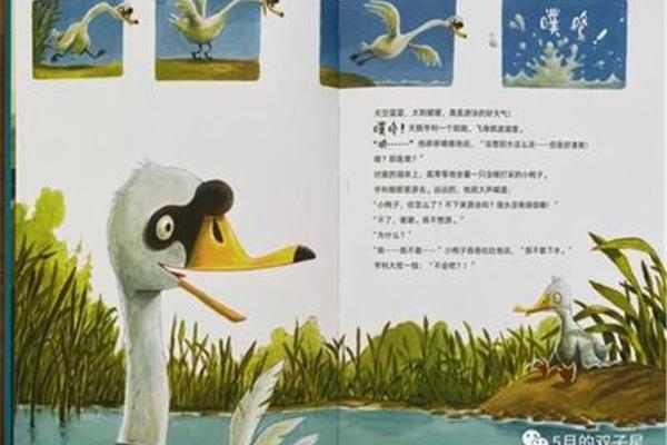 小鸭子下水