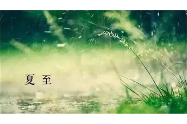 夏雨的诗句