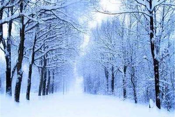 关于雪的句子
