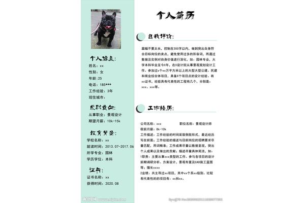 个人简历300字