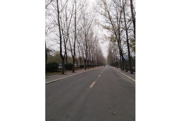 茫怎么组词