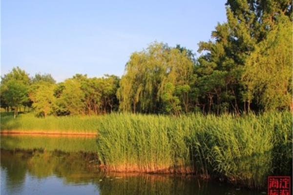 翠湖湿地公园