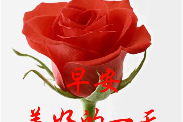 朋友祝福语