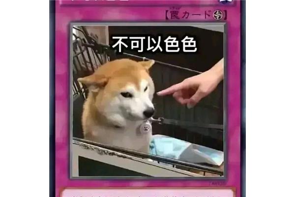 我要去