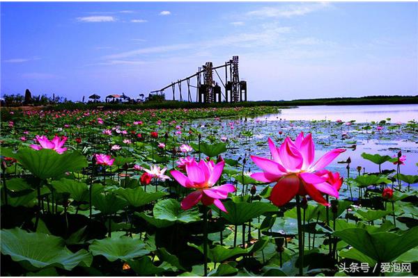翠湖湿地公园