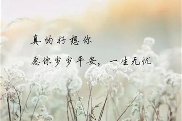 想你的句子