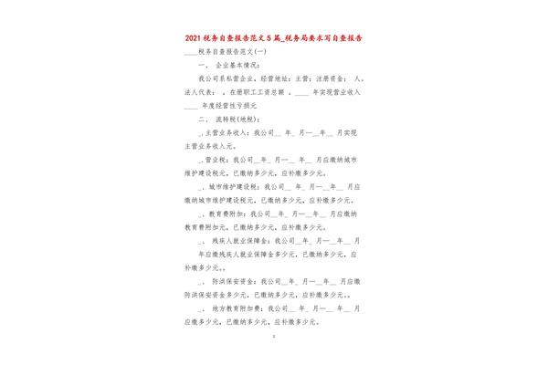 自查报告范文
