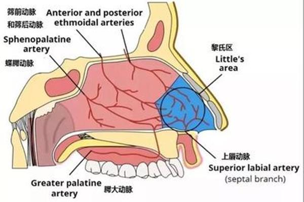 止血方法有哪几种