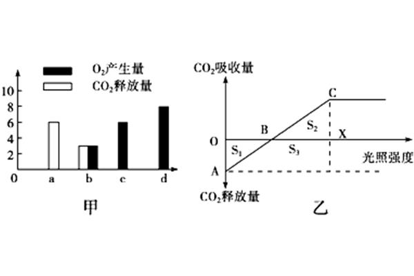 自由水的生理作用