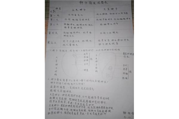 种子萌发实验报告