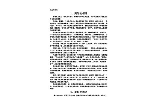 与你相遇作文
