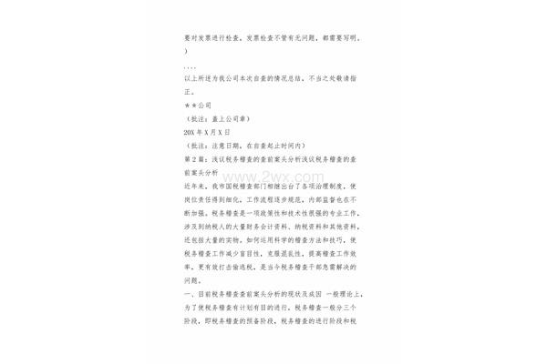 自查报告