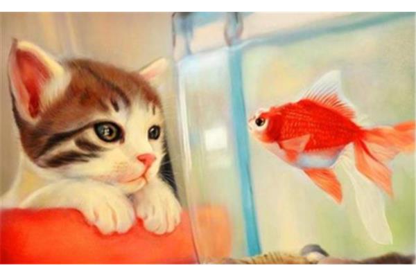 小猫爱吃鱼