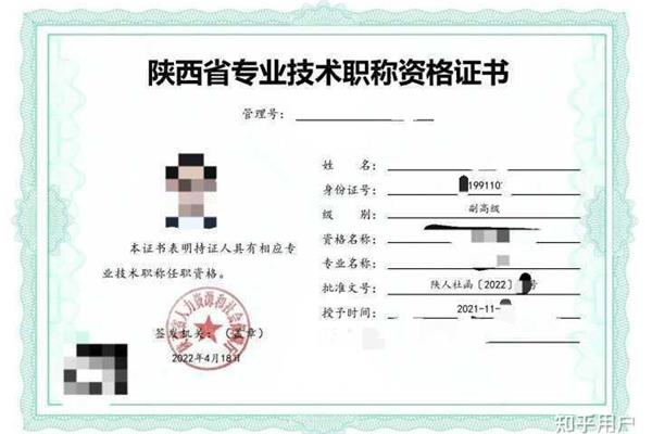 专业技术职称等级