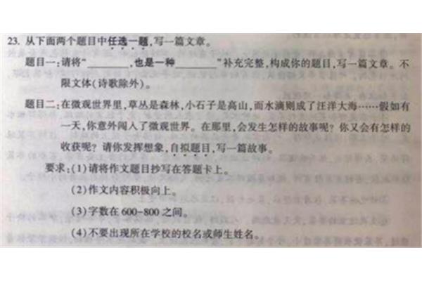 中考作文素材