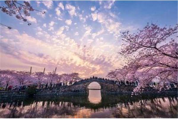 我眼中的美景