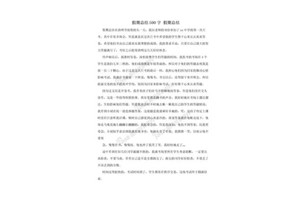 假期总结500字
