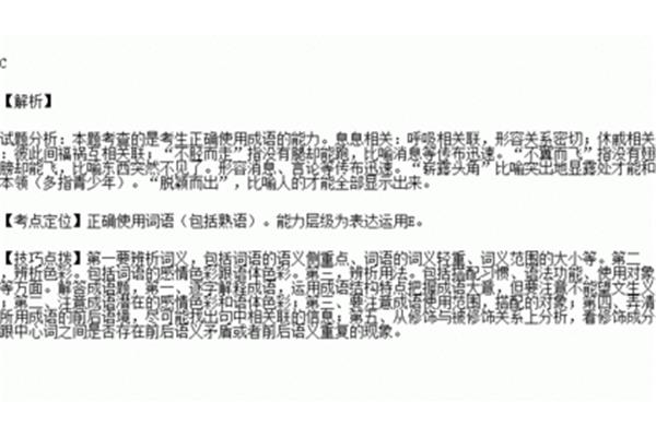 游泳比赛打一成语