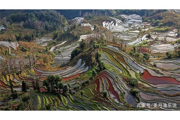 元阳梯田旅游攻略