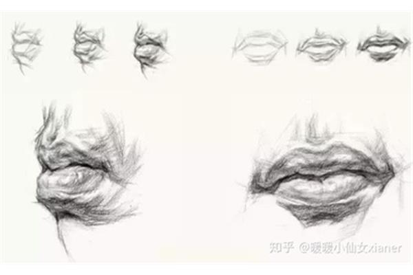 素描怎么画