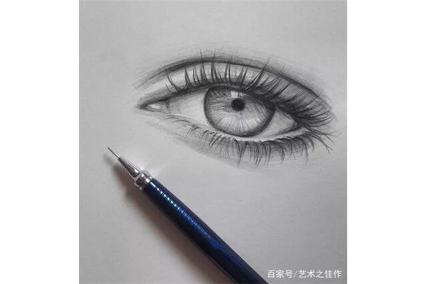 素描怎么画