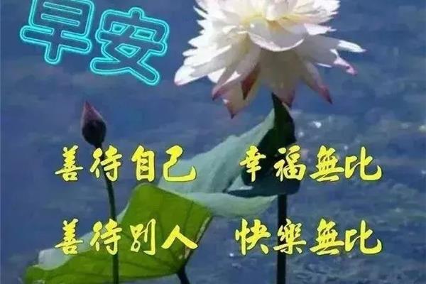 上午好祝福语