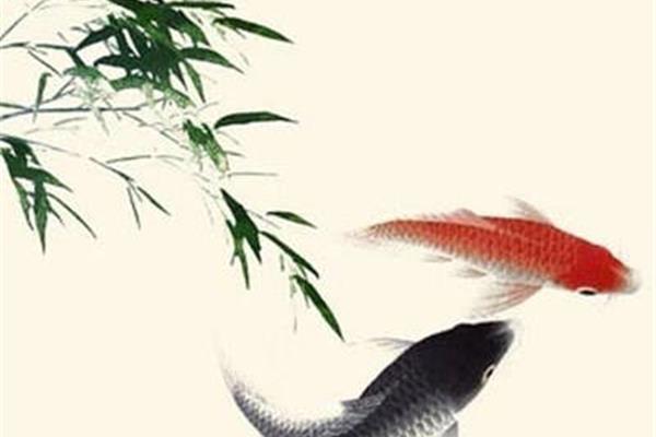鸾俦是什么意思