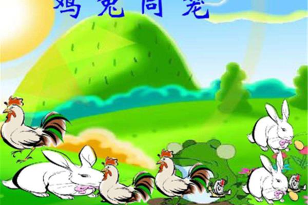 鸡兔同笼的故事