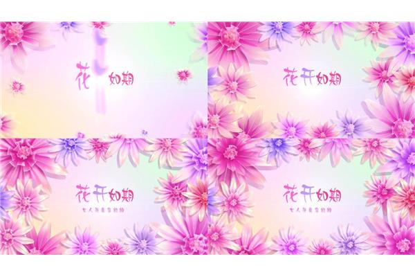 关于花的唯美标题