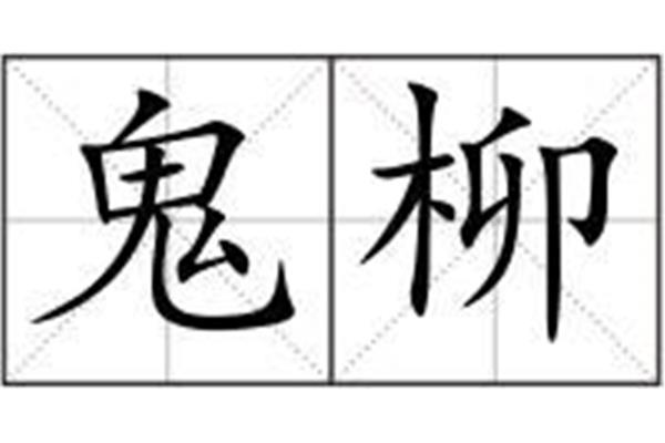 柳字的拼音